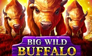 Big Wild Buffalo Big Wild Buffalo